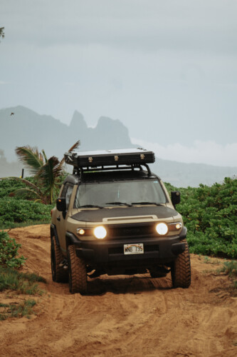 Jeep in a forest