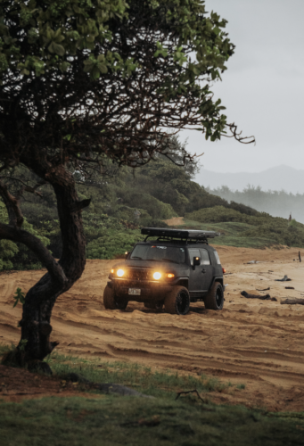 a jeep moving in woods