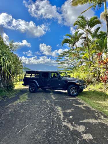 Fully Decked 4WD Jeep Gladiator Mojave