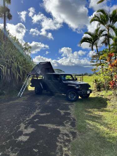 Fully Decked 4WD Jeep Gladiator Mojave in forest