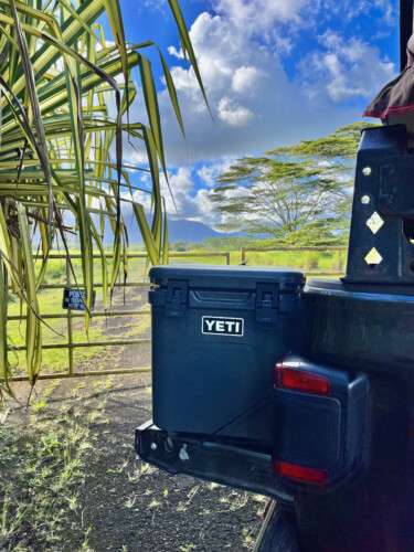 yeti cooler truck