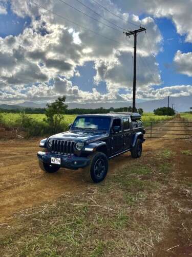 black jeep parked between green meadows